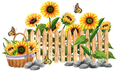 sunflower flowers with butterfly on summer lawn with watering can and basket