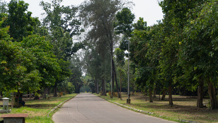 Fototapeta na wymiar Botanic Garden located in Howrah, West Bengal, India
