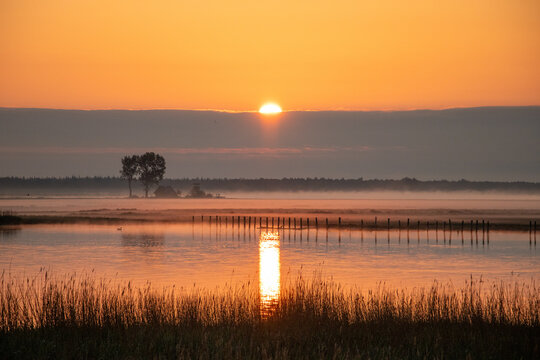 Sonnenaufgang mit Nebel am Bodden vor Zingst.