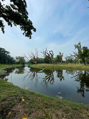 Fototapeta premium Botanic Garden located in Howrah, West Bengal, India