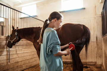 Teen girl brushing a black tail of a brown horse in the stable