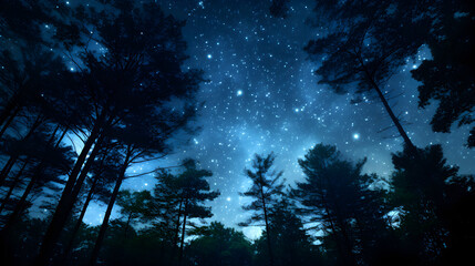 Obraz premium Night scene with blue sky and stars with forest, beautiful scene of wilderness