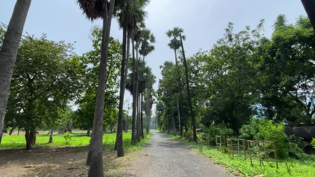 Botanic Garden located in Howrah, West Bengal, India