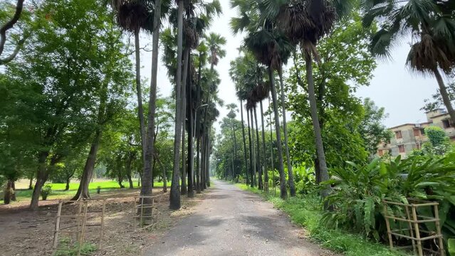 Botanic Garden located in Howrah, West Bengal, India