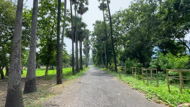 Botanic Garden located in Howrah, West Bengal, India