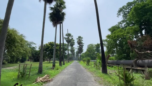 Botanic Garden located in Howrah, West Bengal, India