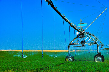Center pivot irrigation system used to water young corn crop in North Dakota.
