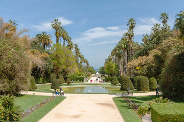 Beautiful vegetation perspective in the Jardin d'Essai du Hamma. English : Test Garden Hamma. Algiers, Alger, Algeria. - obrazy, fototapety, plakaty