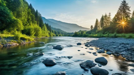 Foto op Aluminium Beautiful summer landscape with a mountain river © Meow Creations