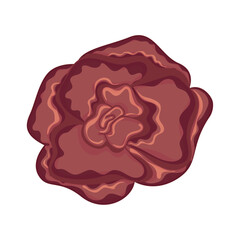 Colored rose flower Aquarela style Vector illustration