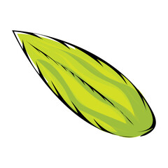 Colored sketch of a leaf Vector illustration