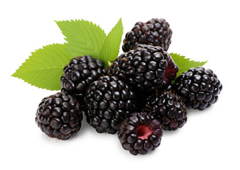 juicy blackberry berries with leaves, isolated