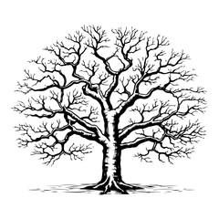 Tree without leaves woodcut engraving style vector illustration