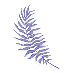 Isolated detailed colored leaf Vector illustration