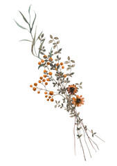 Obraz na płótnie Canvas Flowers - Leaves Frame Watercolor Sanddorn Orangebouquets flowers Aquarell Clipart, Einladung 