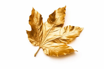 Naklejka premium Beautiful maple leaf isolated on white background