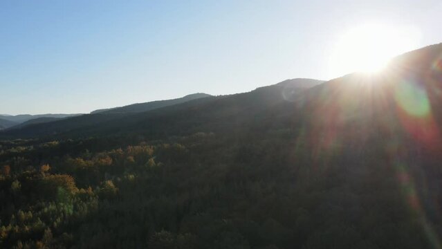 Beautiful idyllic aerial view of amazing colorful forest and blue sky during epic sunset or sunrise. Flying with drone over majestic woodland and mountains in warm autumn sunny day. Nature concept