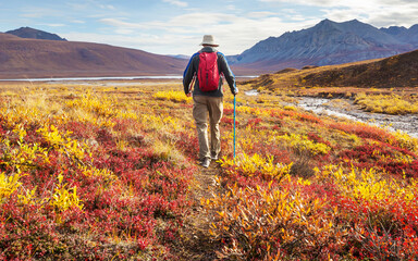 Hike in polar tundra