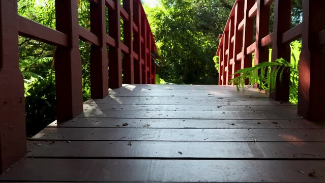 Low angle footage along a red bridge over a creek in the garden surrounded by lush green trees and plants at Miami Botanical Garden in Miami Beach Florida USA