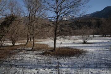 legno e natura