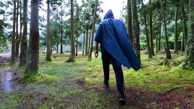 Furnas, Azores; 27th March 2023: Walking between treen in a green forest plenty of moss with a blue raincoat in a rainy day