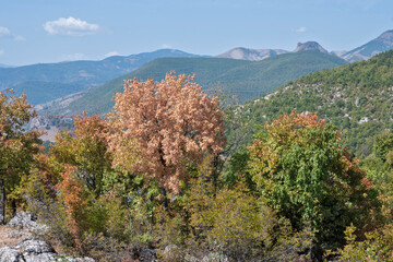 Amazing view of Eastern Rhodopes, Bulgaria