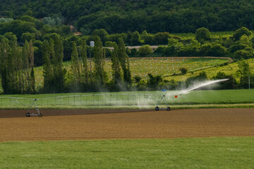 Spraying water from an irrigation system on a freshly sown field in spring