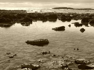 une mer dans la mer