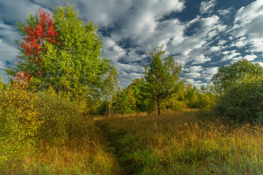 View near Vrbenske ponds with color autumn trees and meadows