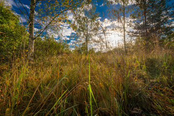 View near Vrbenske ponds with color autumn trees and meadows