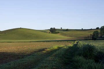 Countryside Panoramas
