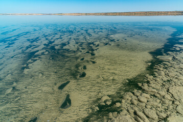 The bottom of the drying dead sea (Kuyalnik estuary, Odea region)