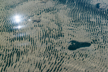 The bottom of the drying dead sea (Kuyalnik estuary, Odea region)