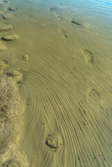 Fototapeta na wymiar The bottom of the drying dead sea (Kuyalnik estuary, Odea region)