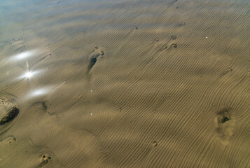 The bottom of the drying dead sea (Kuyalnik estuary, Odea region)