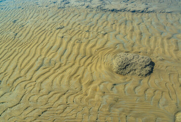 The bottom of the drying dead sea (Kuyalnik estuary, Odea region)