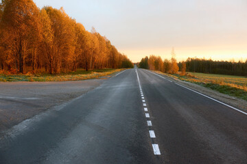 Fototapeta premium Asphalt road with markings and views of trees painted in bright autumn colors. Early sunlight on the trees.