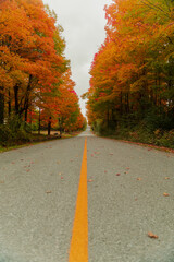 Obraz premium Indian summer in Canada