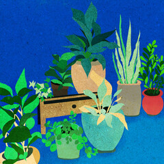 ilustracja kolorowe  doniczki z roślinami drewniana pólka niebieskie tło  - obrazy, fototapety, plakaty