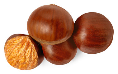 Horse Chestnut isolated on white background. Autumn concept with Chestnut  Top view. Flat lay..