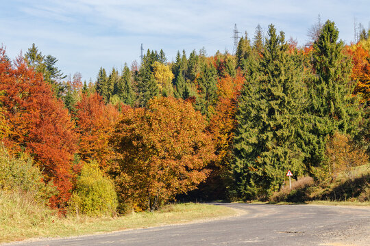 road through forested scenery in autumn. trees in fall colors. mountainous rural area on a sunny day