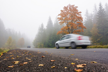 new asphalt road through woodland in autumn. misty weather with overcast sky. foliage on the ground, cars passing by