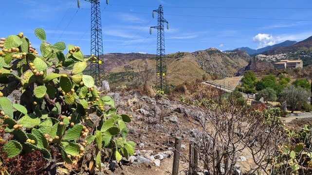 A glimpse of the ruins of the mausoleum of Tredoliche. landscape from the uins of Cirella, an abandoned village for a century in the Calabria region in Italy