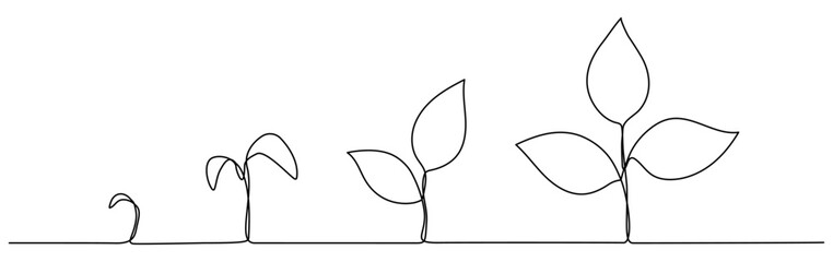 Plant growth process continuous line art drawing. Vector illustration isolated on white.