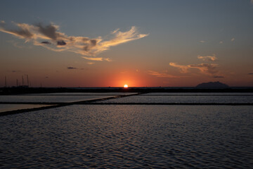Naklejka premium alba risaia