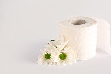 Toilet paper roll with chamomile flowers on white background