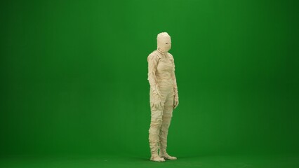 A mummy wrapped in bandages. Green screen isolated chroma key. Mock up, workspace, advertisement. Full length. Half turn.
