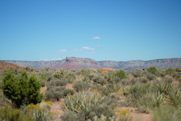 Arizona Desert landscape with blue sky