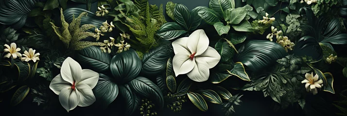 Fotobehang Green tropical leaves and flowers on a dark background. © Degimages