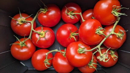 Close-up image of vibrant red tomatoes in the basket